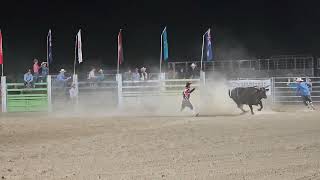 Cunnamulla Fella Roundup 2024  Cameron Southern the 2023 Southern Bull riding champion [upl. by Renfred56]