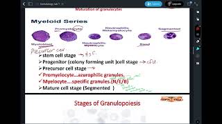 Hematologyhistologypractical 1 part2 [upl. by Arreip]