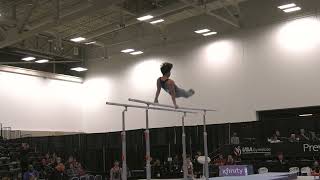 Xander Hong  Parallel Bars  2024 Elite Team Cup [upl. by Wawro]