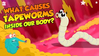 What Causes Tapeworms Inside Our Body  Tapeworm Infection  The Dr Binocs Show  Peekaboo Kidz [upl. by Elbam209]