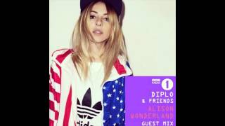 Alison Wonderland Mix  Diplo and Friends  4272014 [upl. by Enelhtak]