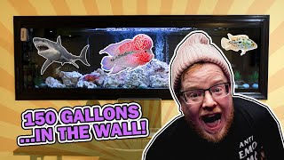 I built a 150 gallon aquarium into my wall crazy [upl. by Teerpnam329]