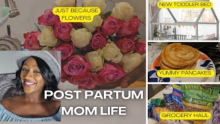 Vlog New montessori toddler bed  Yummy pancakes  Shopping Grocery haul  Feeding a Picky eater [upl. by Avin]