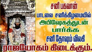 சனிக்கிழமை திருநள்ளார் சனி பகவான் பாடலை அபிஷேகத்துடன் கேட்க சங்கடங்கள் அனைத்தும் தீரும் [upl. by Brian]