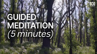 Guided Meditation For Resilience 5 Minutes  Natural Mindful [upl. by Tierza]