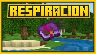 🟨 QUÉ HACE el ENCANTAMIENTO RESPIRACIÓN en Minecraft y CÓMO CONSEGUIRLO  Bedrock y Java [upl. by Madda979]