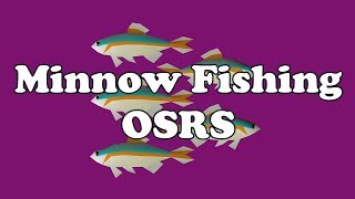 OSRS Minnow Fishing  The Supreme Method for Sharks [upl. by Yerfoeg]