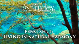 Dan Gibson’s Solitudes  The Purest Water  Feng Shui Living in Natural Harmony [upl. by Silverstein714]