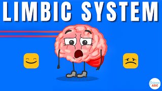 Emotions and the Brain What is the limbic system [upl. by Snowber868]