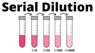 How to prepare a Serial Dilution [upl. by Dur893]