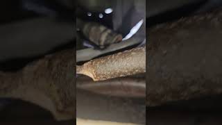 Honda jazz driveshaft failure automobile honda fail [upl. by Innavoeg]