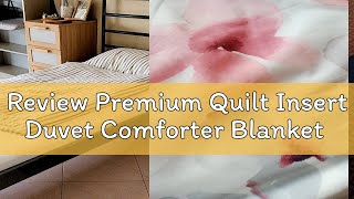 Review Premium Quilt Insert Duvet Comforter Blanket [upl. by Brittney993]