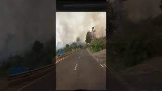 Incendio en La Palma [upl. by Nnyleak764]