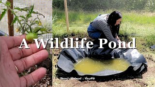 Making A Wildlife Pond ⛥ UK Allotment Vlog 16 ⛥ June 2024 ⛥ [upl. by Elawalo]