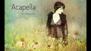 Enya  Echoes In Rain Acapella AI separated [upl. by Atalaya]