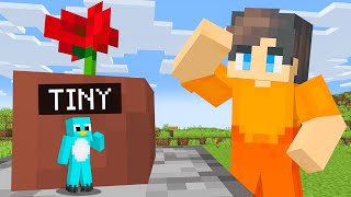 Using TINY in Hide and Seek Minecraft Prop Hunt [upl. by Stichter]