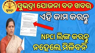 ସୁଭଦ୍ରା ଯୋଜନା ଶେଷ ସୁଯୋଗଆଜି କରନ୍ତୁ ଏହି କାମSubhadra Yojana DBT linkSubhadra Yojana Npci reject list [upl. by Los]