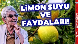 Canan Karatay Limon Suyunun Faydalarını ve Bilinmeyenlerini Anlattı [upl. by Hploda883]