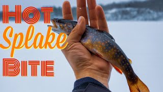 Ice Fishing for Splake on StructureTips for Catching Splake [upl. by Aynekat129]