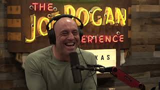 Joe Rogan Experience 1800  Gavin de Becker [upl. by Redlac]