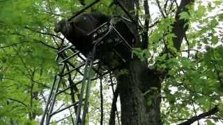 Set Up a Ladder Stand Safely for Deer Hunting [upl. by Ahsats]