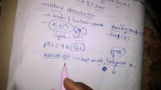 Microbiology of yersinia pestis with notes [upl. by Annaid899]