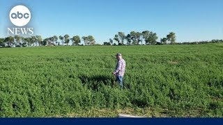 Farmers allege link between popular herbicide paraquat and Parkinsons disease [upl. by Suilmann]