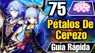 🌸PÉTALOS DE CEREZO  RUTA DE FARMEO Para AYAKA y AYATO Material de Ascensión Genshin Impact [upl. by Fairleigh]