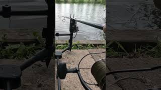 Carp run on Delkims 139 carpfish fishing fish carpfishing carpbitesamprunsuk [upl. by Gilba]