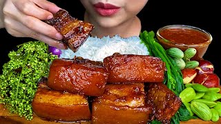 Braised Pork Belly Spicy Fish Paste amp White Rice  MUKBANG SOUNDS [upl. by Bertrando]