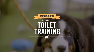 How to toilet train your puppy in no time [upl. by Iahs538]