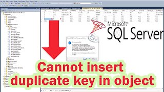 Fix SQL Primary Key Constraint Cannot inset duplicate key in object in SQL SERVER [upl. by Mandelbaum744]