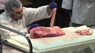 Aaron Franklin describing how he trims a brisket at Brisket Camp 2015 [upl. by Sherm]