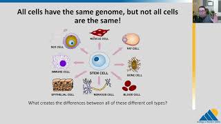 BIOL201 Ch174  Genomics and Proteomics [upl. by Nigle276]