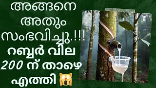 today rubber sheet price kerala  rubber price today in kerala  kerala market price updation [upl. by Claudelle]