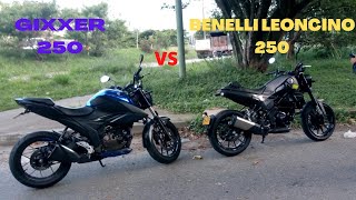 BENELLI LEONCINO 250 VS GIXXER 250 🔥 1000 MTS 🏁 DRAG RACE [upl. by Beach248]