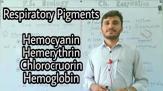 Respiratory Pigments  Haemoglobin  Hemocyanin  Hemerythrin  Chlorocruorin [upl. by Nodnerb]