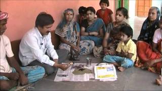 Seed treatment with trichoderma Kannada BAIF Karnataka [upl. by Cates]