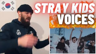 TeddyGrey Reacts To “Stray Kids  Voices Performance Video”  HYPE UK 🇬🇧 REACTION [upl. by Sheena702]