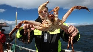 King crabbing in Northern Norway  Königskrabbenfang im Norden Norwegens [upl. by Ellehcor]