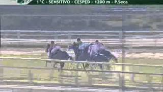 Calendario de carreras Video histórico Hipódromo Argentino de Palermo [upl. by Bohman]