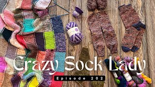 Episode 202  Im just doing it I am casting on all the socks 🧦 [upl. by Verras925]