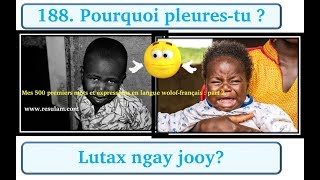 Mes 500 premiers mots et expressions en langue woloffrançais  part 24 [upl. by Aieki]