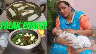 Palak Paneer Recipe  How to make Palak Paneer  Punjabi [upl. by Godart114]