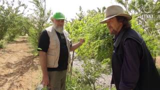 Greening The Desert  MAA International Permaculture [upl. by Latini]