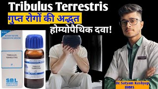 Tribulus Terrestris Q Homoeopathic Medicine benefits in Hindi [upl. by Aletha]