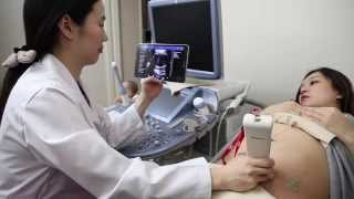 Obstetrics and Gynecology by SONON  Wireless Handheld Ultrasound [upl. by Bette-Ann]