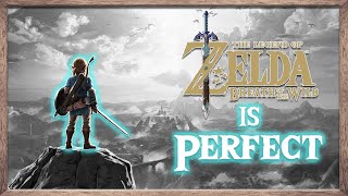 Breath of the Wild A BRIEF Retrospective [upl. by Quintilla]