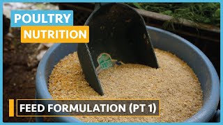 Poultry Nutrition Lesson 10  Formulation of a Compound Feed part 1 [upl. by Idalina]