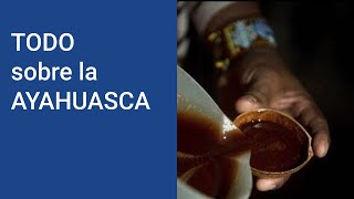 AYAHUASCA ¿Qué es la ayahuasca y que EFECTOS tiene la ayahuasca ¿Dónde pruebo la ayahuasca [upl. by Ahsieken]